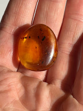 Load image into Gallery viewer, Colombian Amber