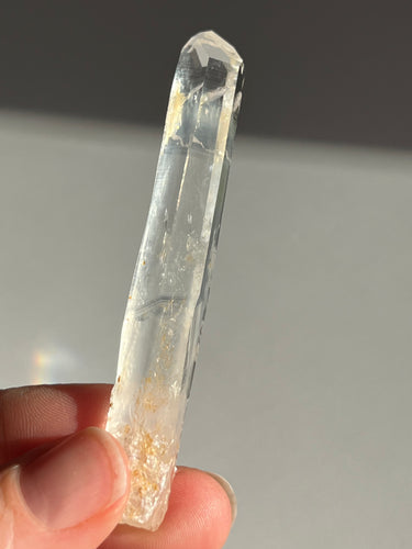 Blue Smoke Golden Healer Lemurian