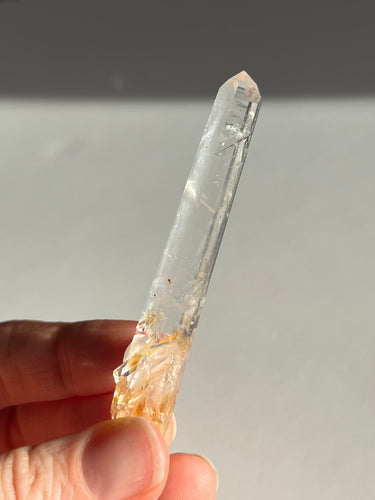 Blue Smoke Golden Healer Lemurian