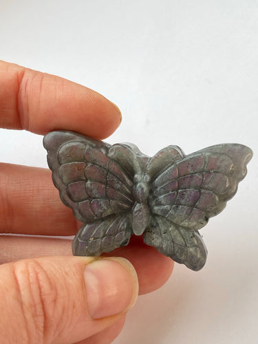 Labradorite Butterfly Carving