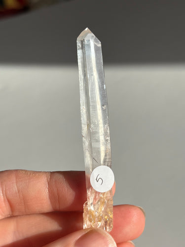 Blue Smoke Golden Healer Lemurian