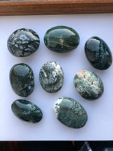 Load image into Gallery viewer, Moss Agate Palmstone