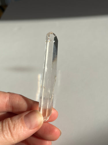 Blue Smoke Golden Healer Lemurian