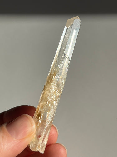 Blue Smoke Golden Healer Lemurian