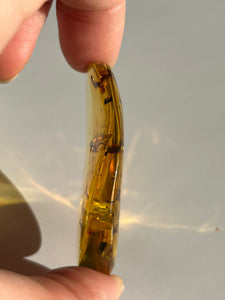 Colombian Amber