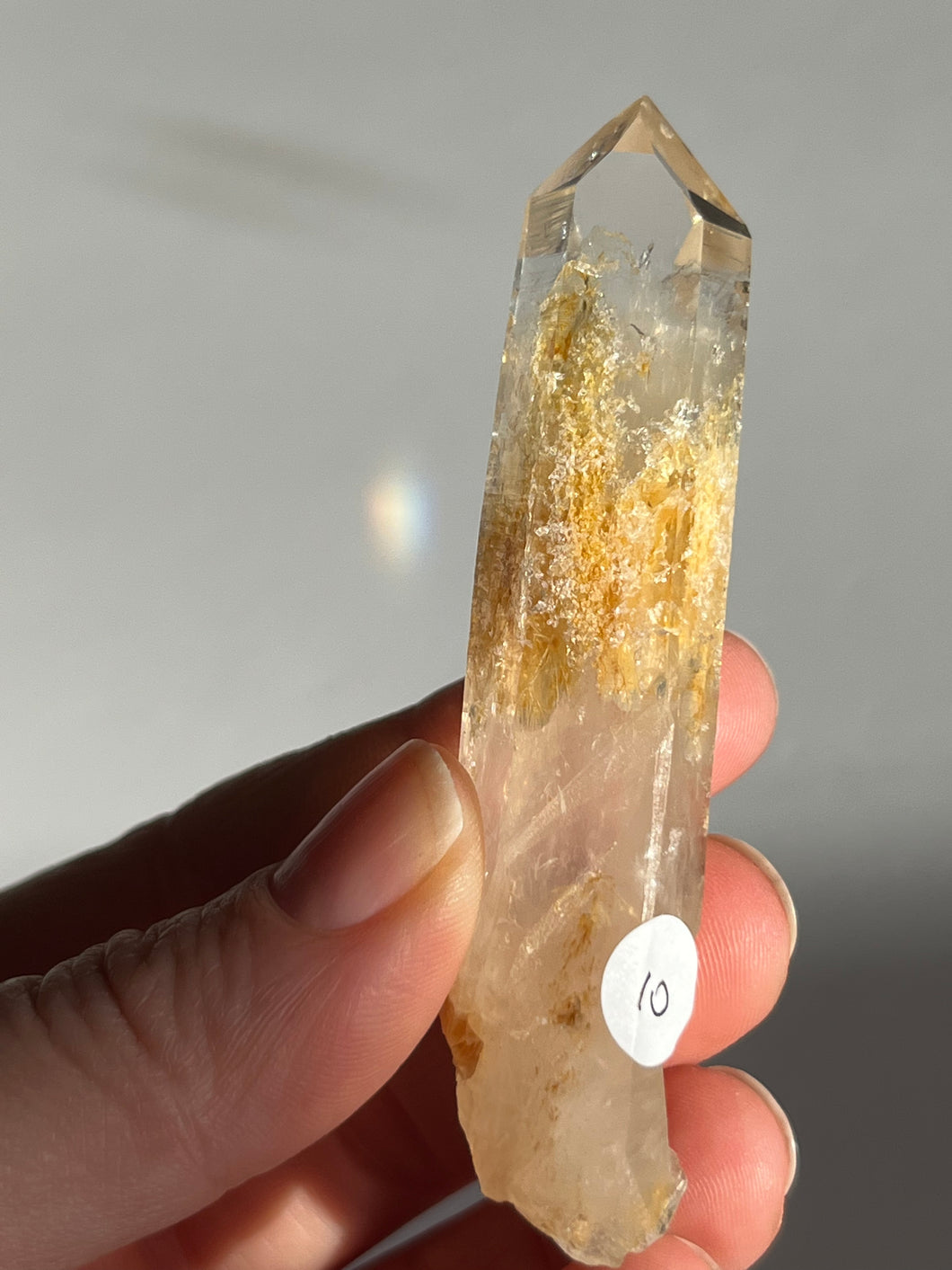 Blue Smoke Golden Healer Lemurian