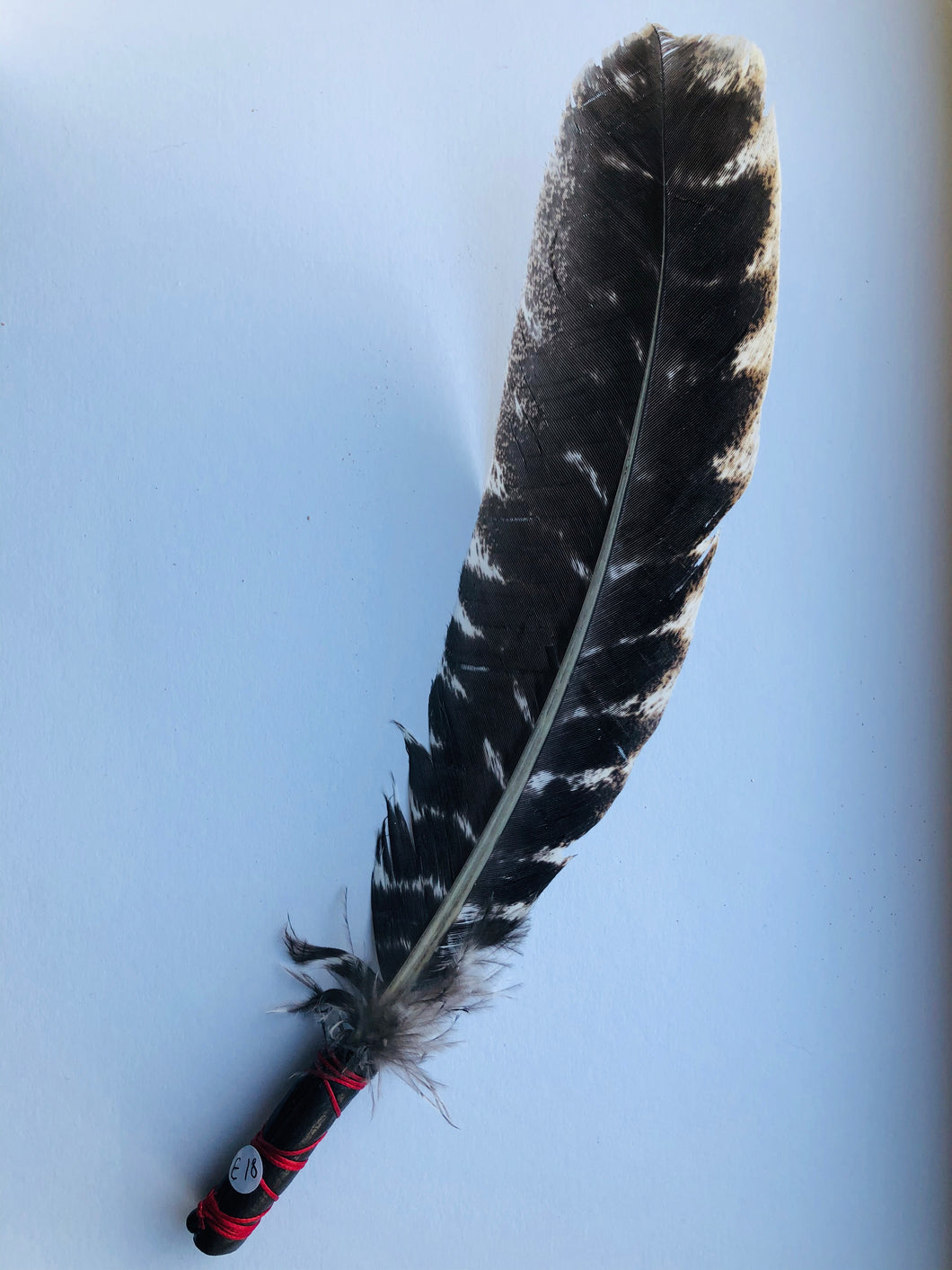 Turkey Smudge Feather