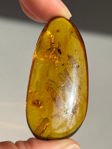 Colombian Amber