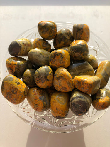 Bumblebee Jasper Tumblestone