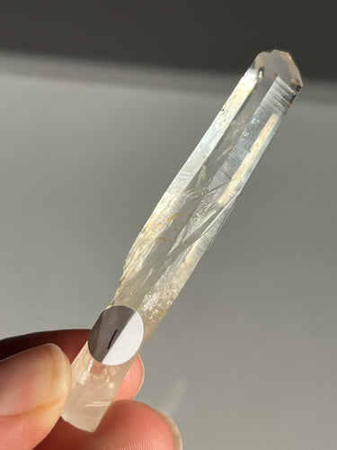 Blue Smoke Golden Healer Lemurian