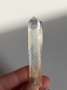 Blue Smoke Golden Healer Lemurian