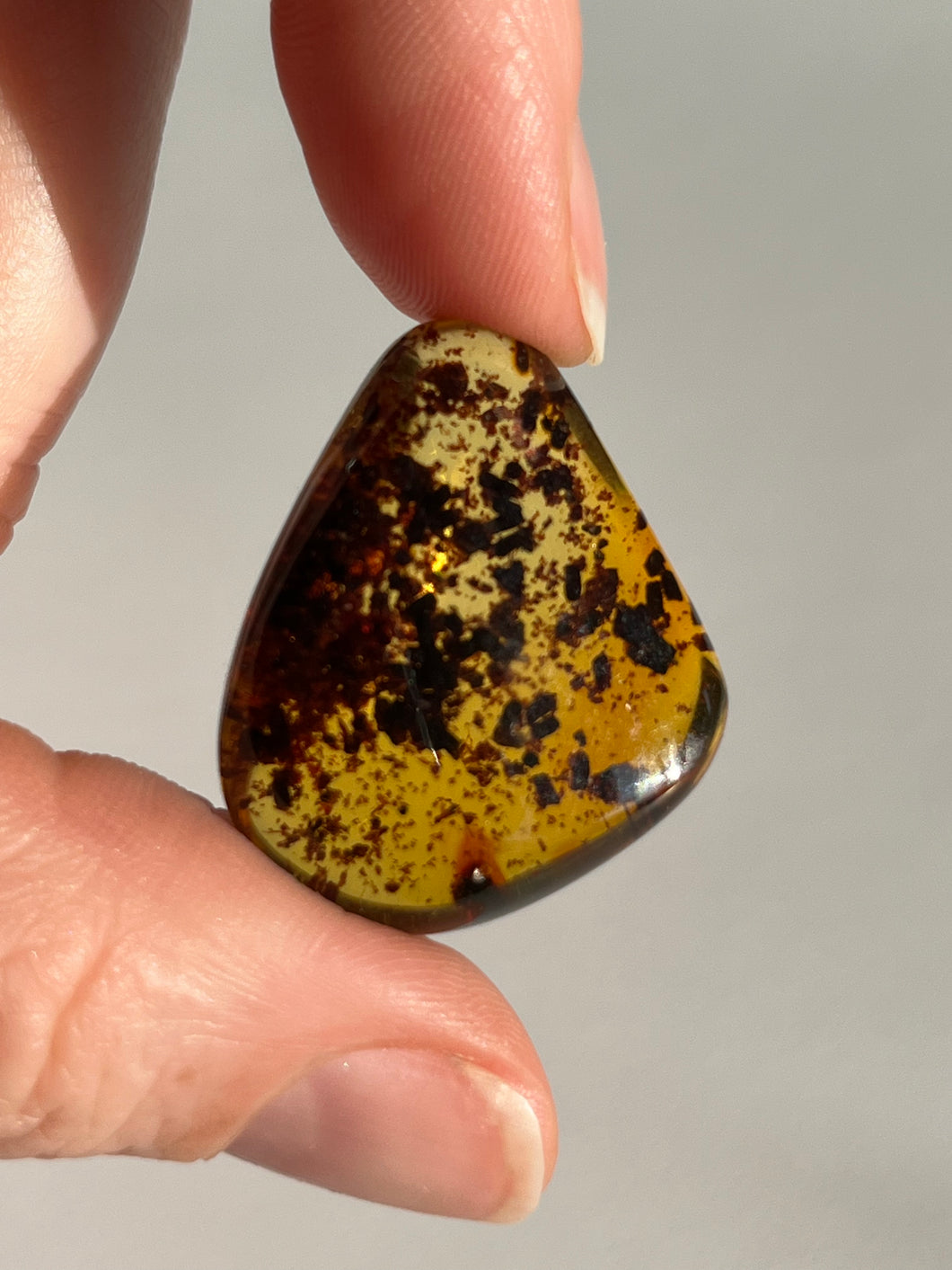 Colombian Amber